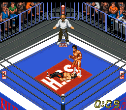 Super Fire Pro Wrestling X Premium